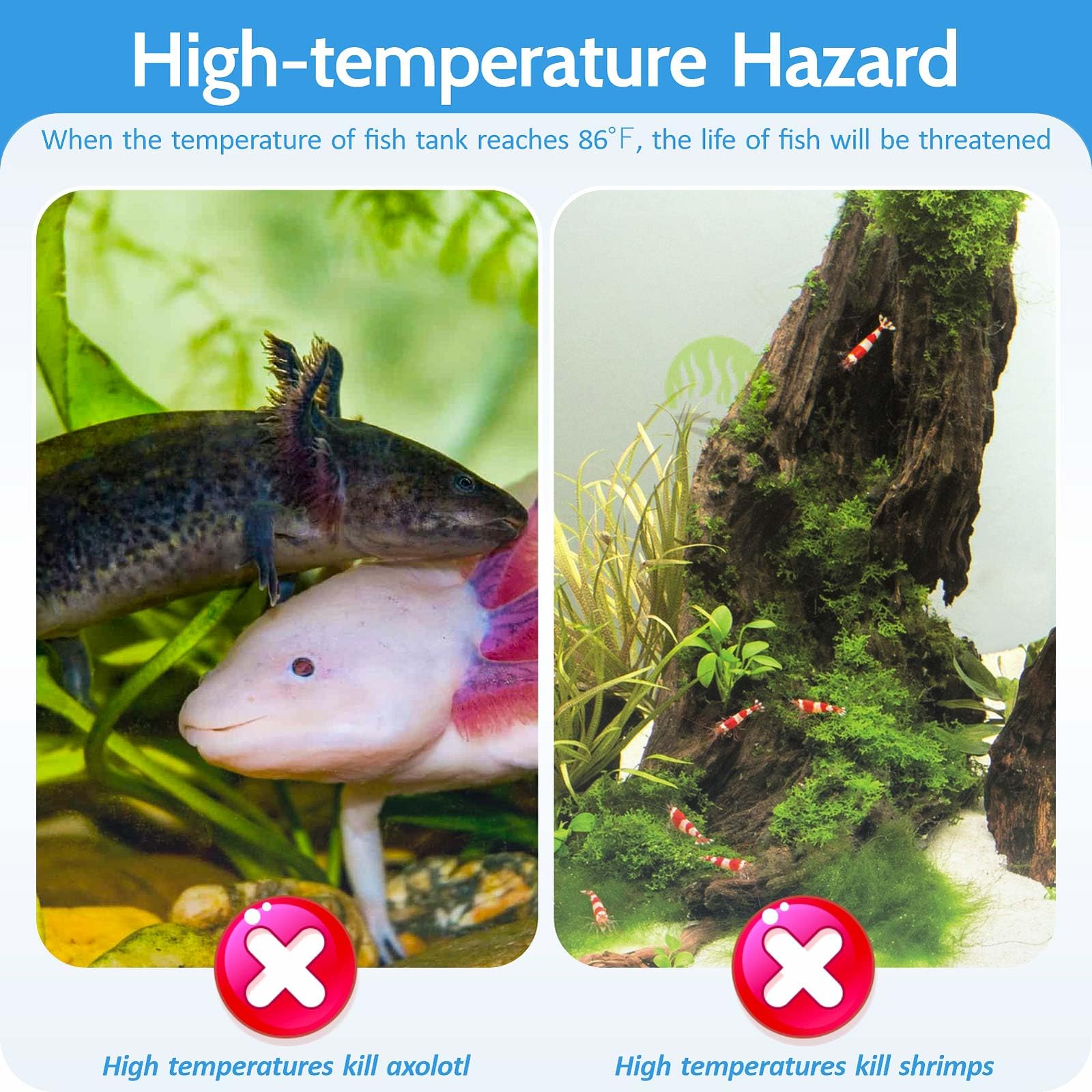 Ulepszony wentylator do akwarium z funkcją pamięci, wentylator chłodzący do akwarium, agregat chłodzący do akwarium, akcesoria do ryb Axolotl Betta, z regulowaną prędkością i timerem, 3