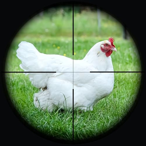 Chicken Hunting - Sniper Shooting Game - Fun Games for Free