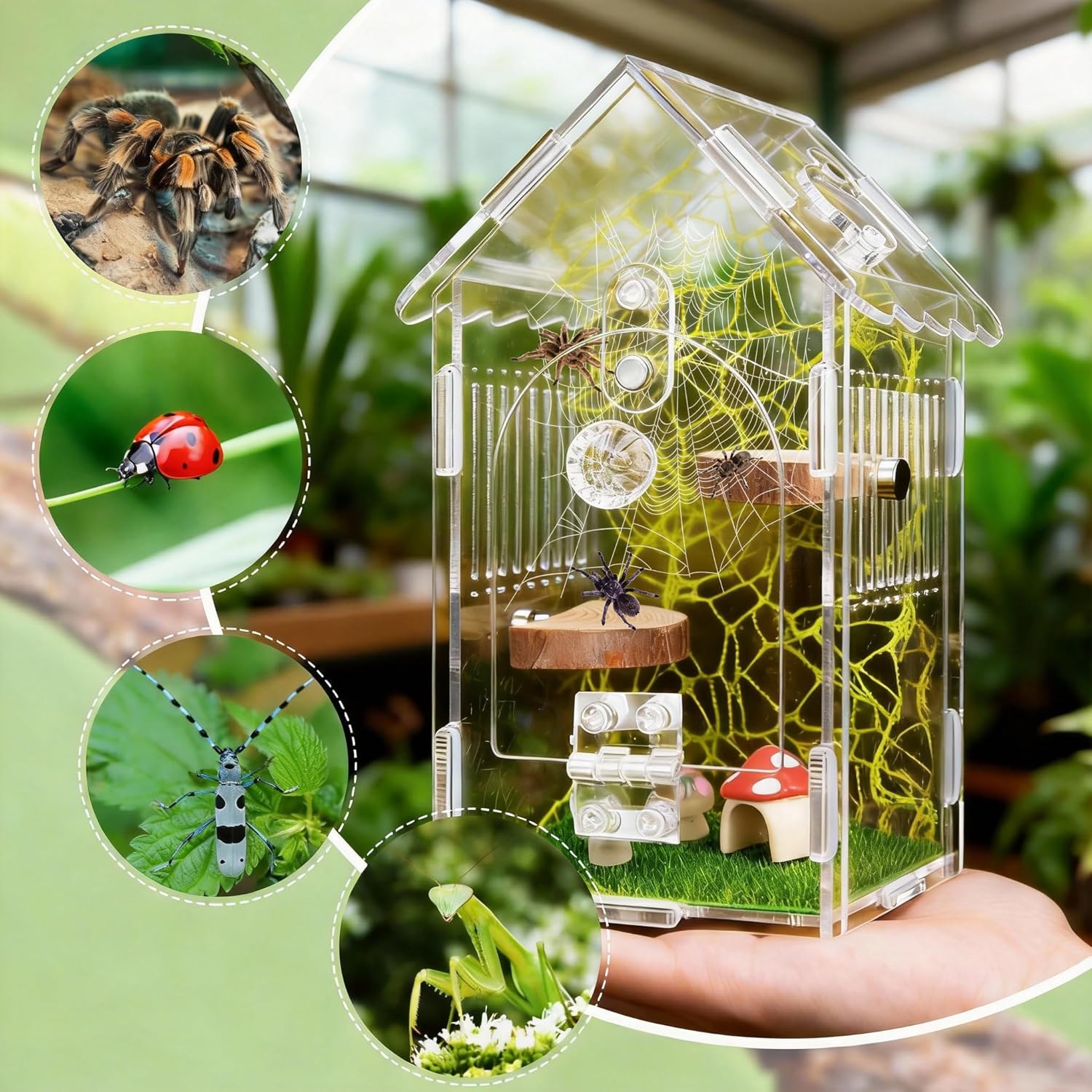 Hysagtek Jumping Spider Enclosure - Acrylic Arboreal Tarantula Enclosure Small Reptile Terrarium with Magnetic Door, Clear Jumping Spider Enclosure Accessories