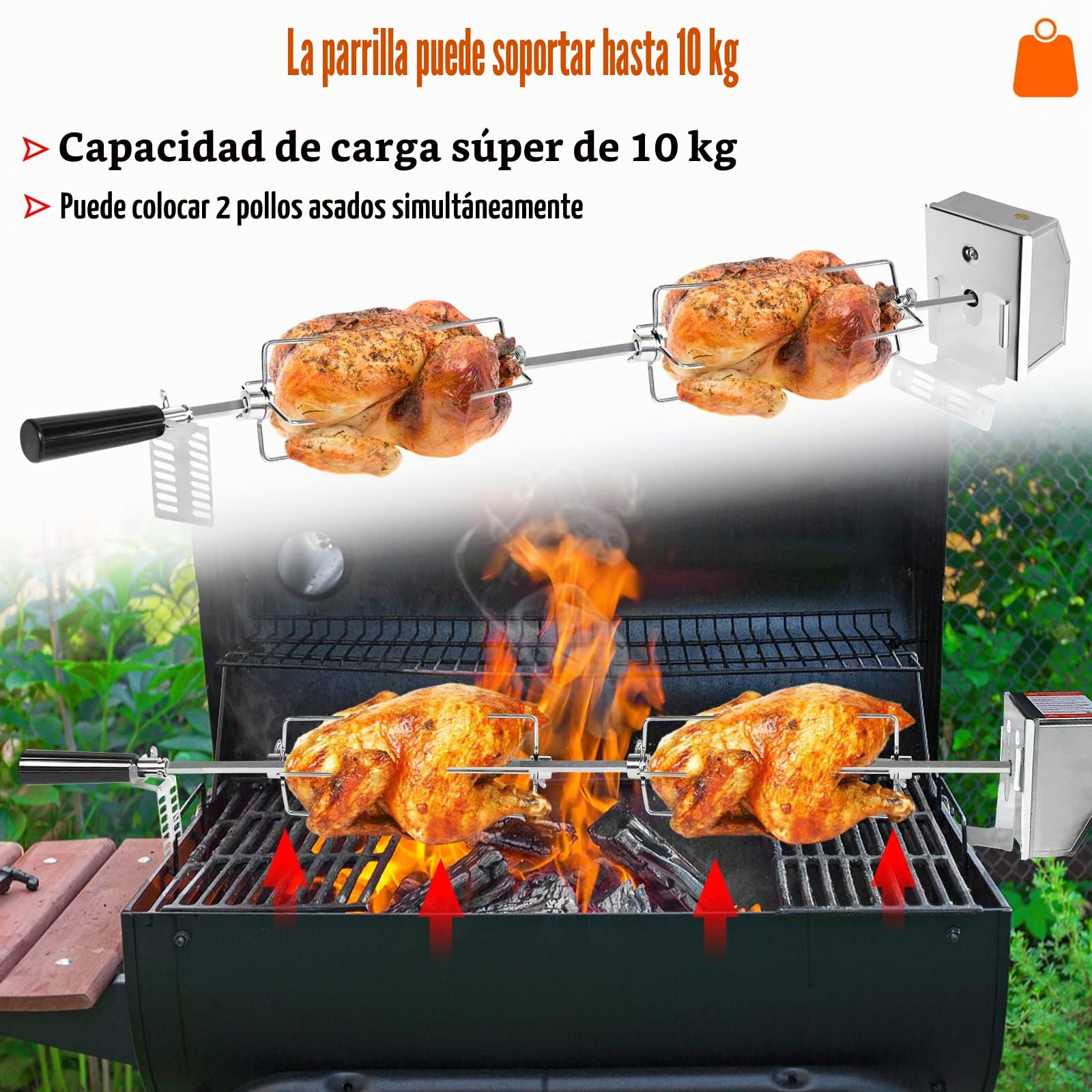 Froadp 220-240V Asador Eléctrico Giratorio para Barbacoa, Asador de Acero INOX con 4 Agujas para Carne, Kit de Asador de Pollo Asado con Motor, Asador Barbacoa para Parrilla de Gas BBQ