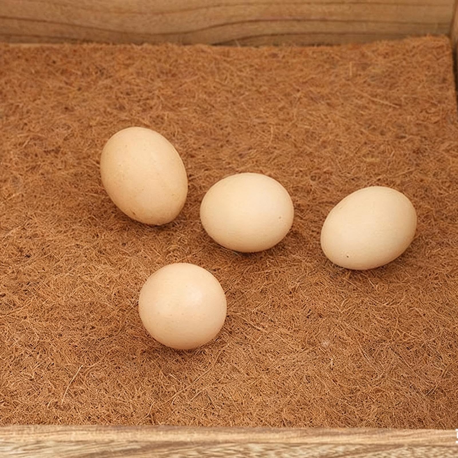 Scatole Per Nidificazione Delle Galline Dotata Di Cuscinetti E Posatoio In | Cassette Per La Deposizione Delle Uova Nel Pollaio Per Galline Pollai Casa Inverno Pollame Appollaiamento Fattori