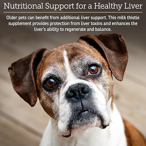Miniatura 3 de Rx Vitamins Hepato Support para perros y gatos - Suplemento de apoyo hepático con cardo mariano para perros y gatos - Suplemento hepático para