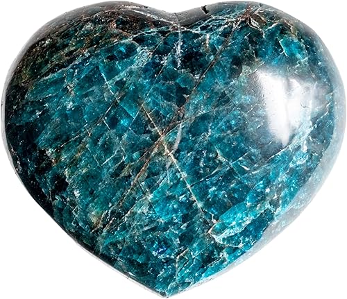 Mineralist Colección de piedra de palmera de corazón de apatita azul regalos del día de San Valentín para ella 25-3 pulgadas 04-065 libras piedra de