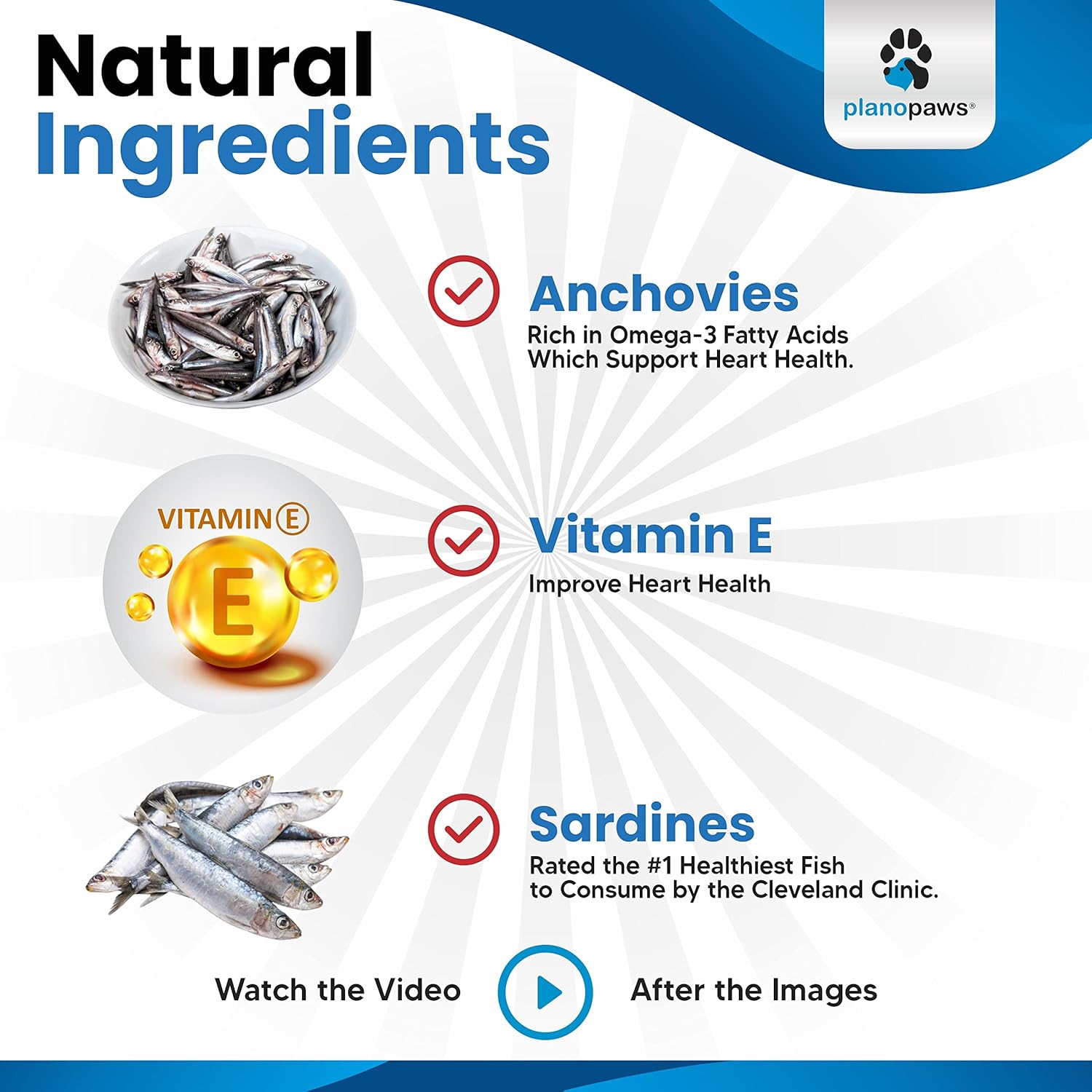 Omega 3 Fish Oil for Dogs - Salmon Oil for Dogs - Dog Fish Oil Supplement May Help Shedding, Allergy, Itch Relief - Supports Dry Skin, Joints - Dog Skin and Coat Supplement - 90 Fish Oil Pills EPA DHA : Pet Supplies