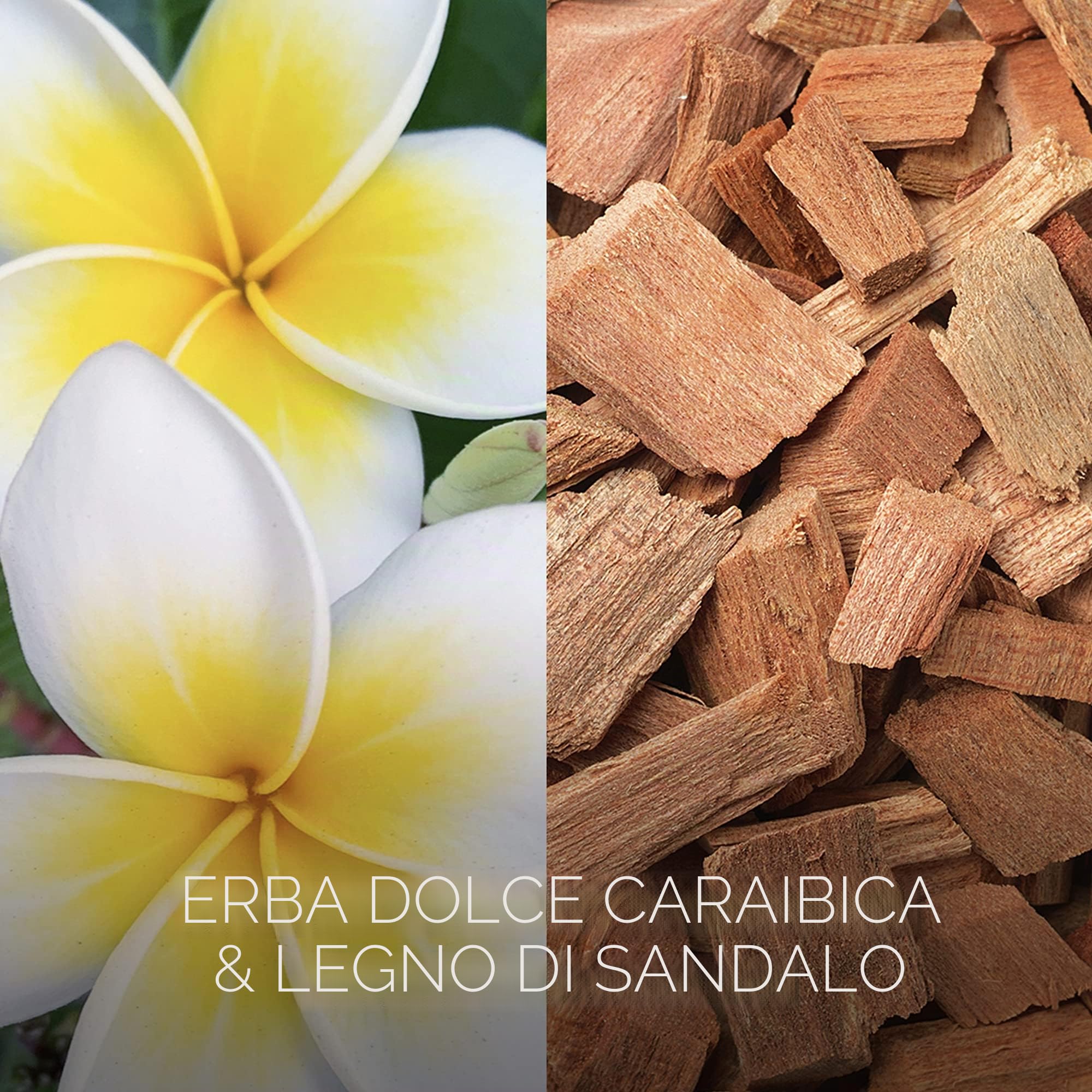 Botanica by Air Wick 6 candele profumate in barattolo – fino a 40 ore per candela – Fragranza: erba dolce e legno di sandalo – Prodotto in modo sostenibile con ingredienti naturali – 6 x 205 g candela