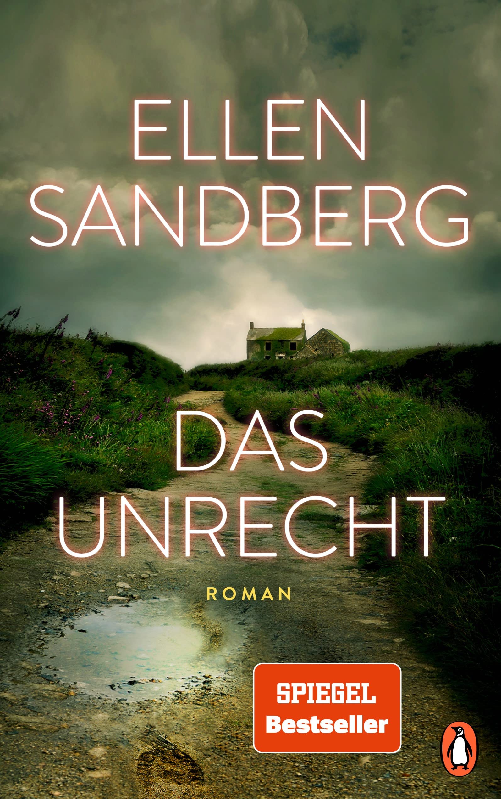 Das Unrecht: Roman. Die Schatten unserer Vergangenheit. Die Abgründe einer Familie. Der große neue Roman von Bestsellerautorin Ellen Sandberg