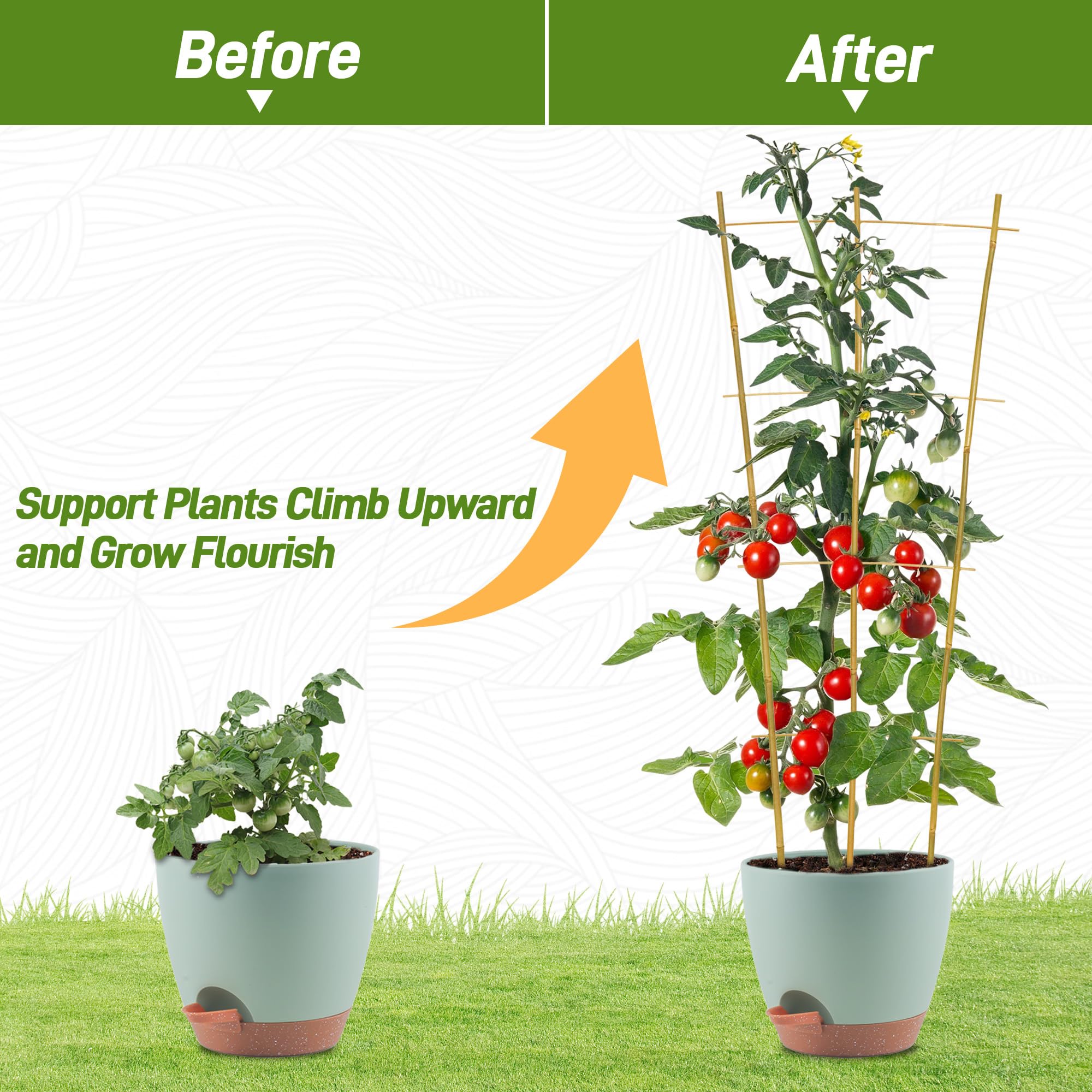 Avalution 10 Pack Bambus Rankgitter fr Kletterpflanzen, 90 cm,  Gartenleiter, Rankhilfe fr Topfpflanzen im Innenbereich, fcherfrmige  kleine Pflanzensttze, Rankgitter fr Zimmerpflanzen, Efeu, : Amazon.de:  Garten