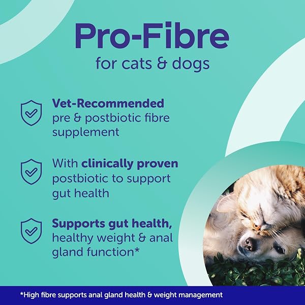 Protexin Pro-Fibre for Dogs – High Digestive Supplement with Prebiotics & Postbiotics – Supports Gut Health, Digestion, Firm Stools & Anal Gland Function – Meat-Free Beef Flavour – 500g Pellets - 3