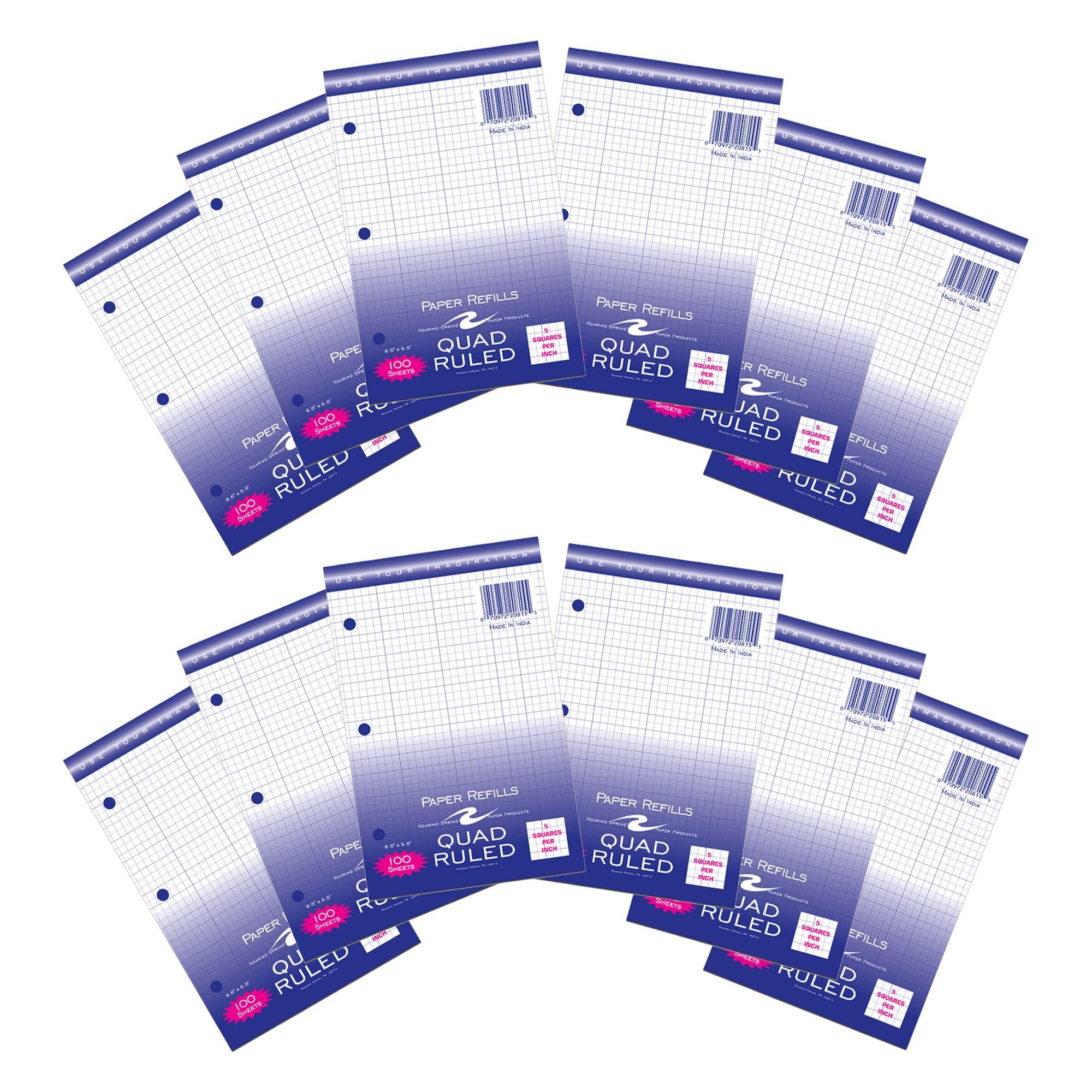 Roaring Spring Lot de 12 feuilles de papier quadrillé de 21,6 x 14 cm, 100 feuilles blanches de 6,8 kg, quadrillage 5 x 5, perforées à 3 trous pour mini classeurs