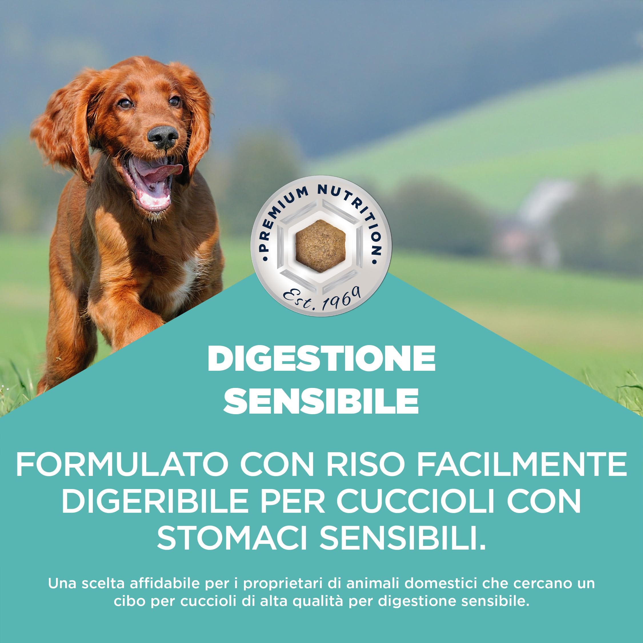 EUKANUBA Sensitive Digestion Cibo per cani con pollo e riso ad alta digeribilità - Mangime secco Special Care delicato sullo stomaco per cani giovani con sensibilità digestiva, 12 kg