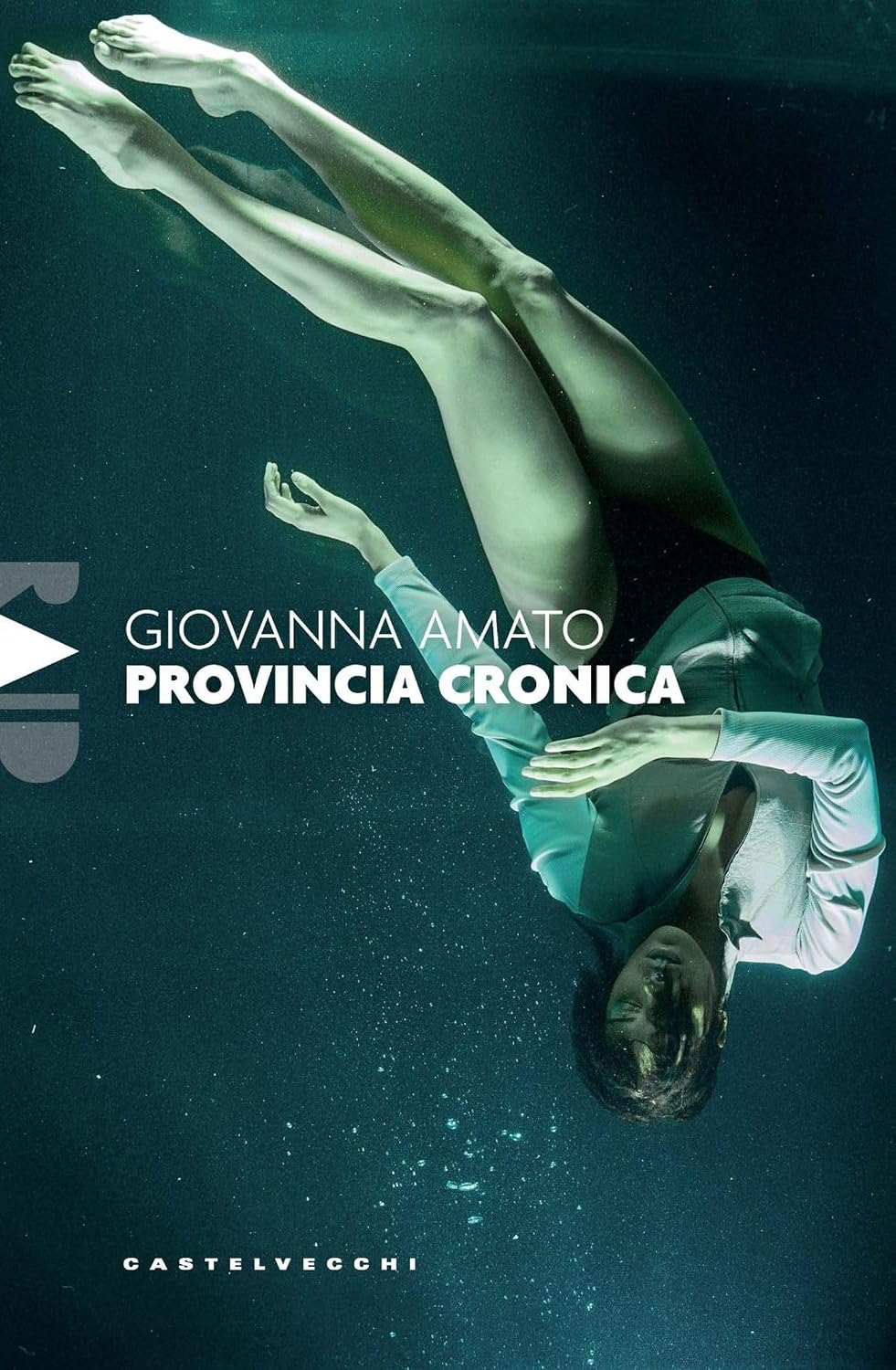 Provincia cronica (Italian Edition)