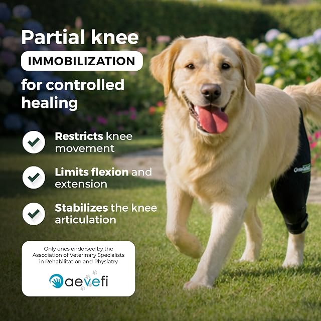 Foto 2 de 8 de Ortocanis - Inmovilizador de Rodilla para Perro - Rodillera para Pierna Izquierda