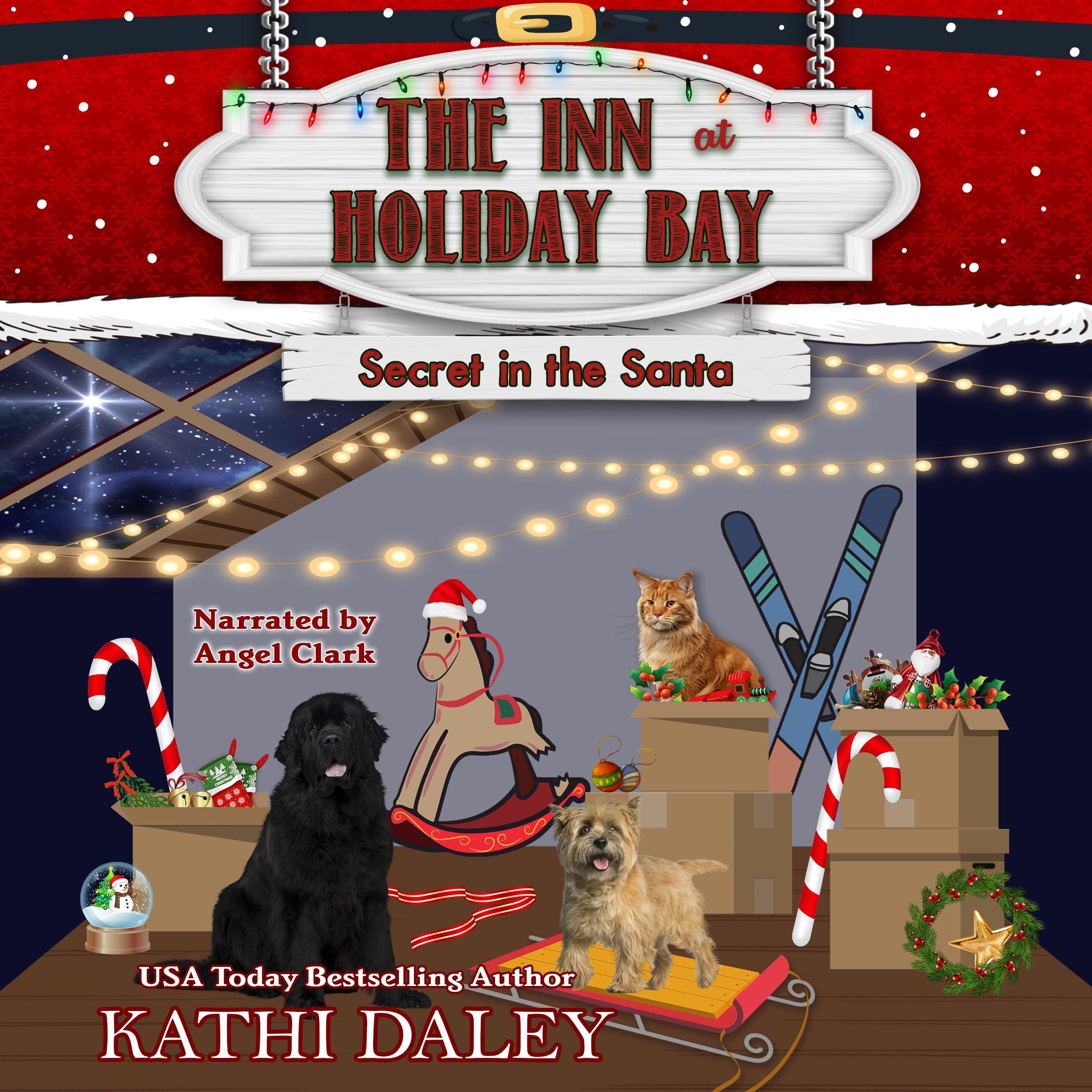 Cover art for Secret in the Santa