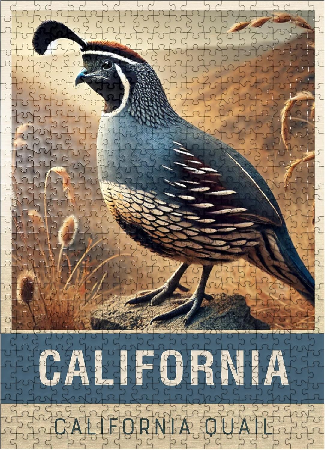 MyPuzzle State Birds Series: California, California Quail - Premium 1000 Piece Jigsaw Puzzle for Adults