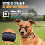 Ver la foto 3