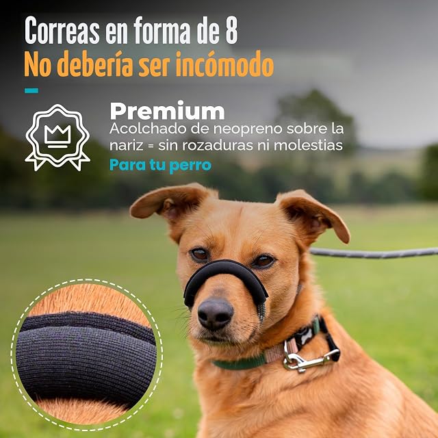 Foto 3 de 8 de Total Pet Figura de 8 correas para perro, antitirones, para perros