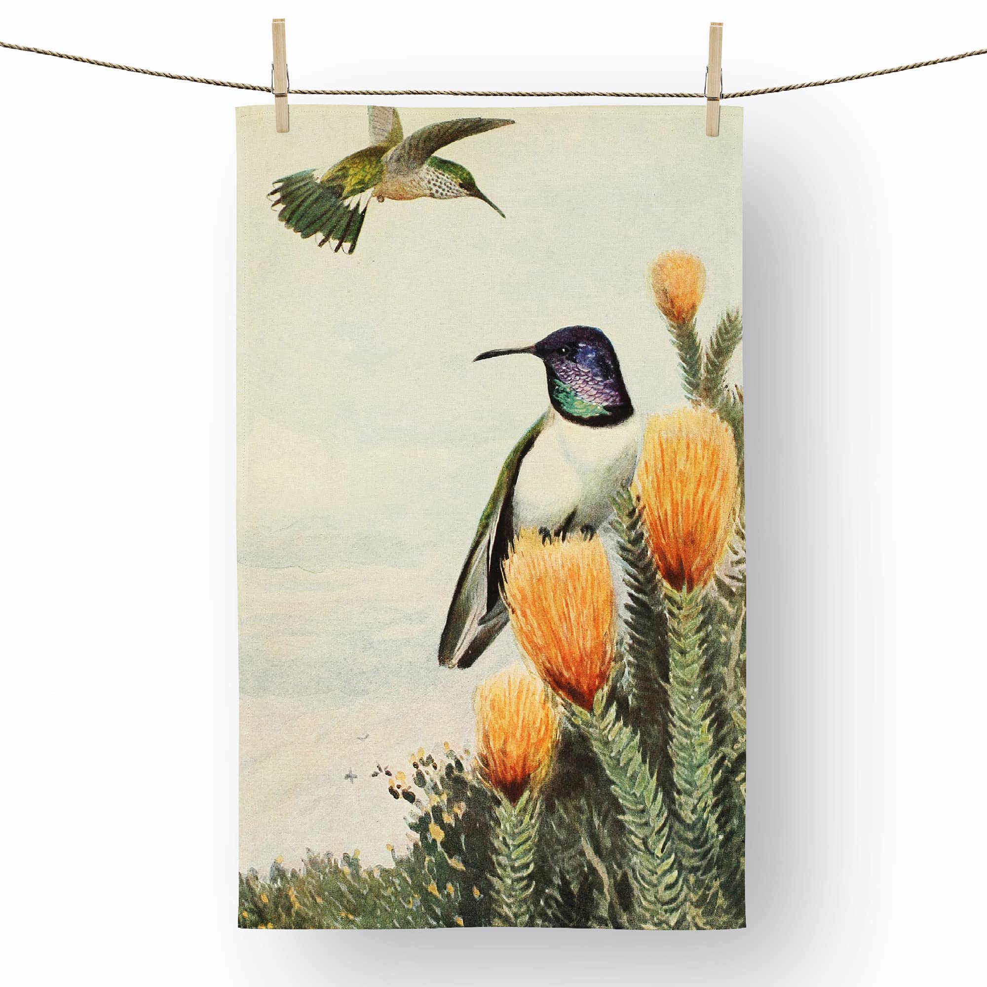 Hillstar Birds - 100% Cotton (72 x 44 cm) Kitchen Tea Towel, Dish Cloth for Drying, Cleaning and Washing - Absorbent and Quick Drying
