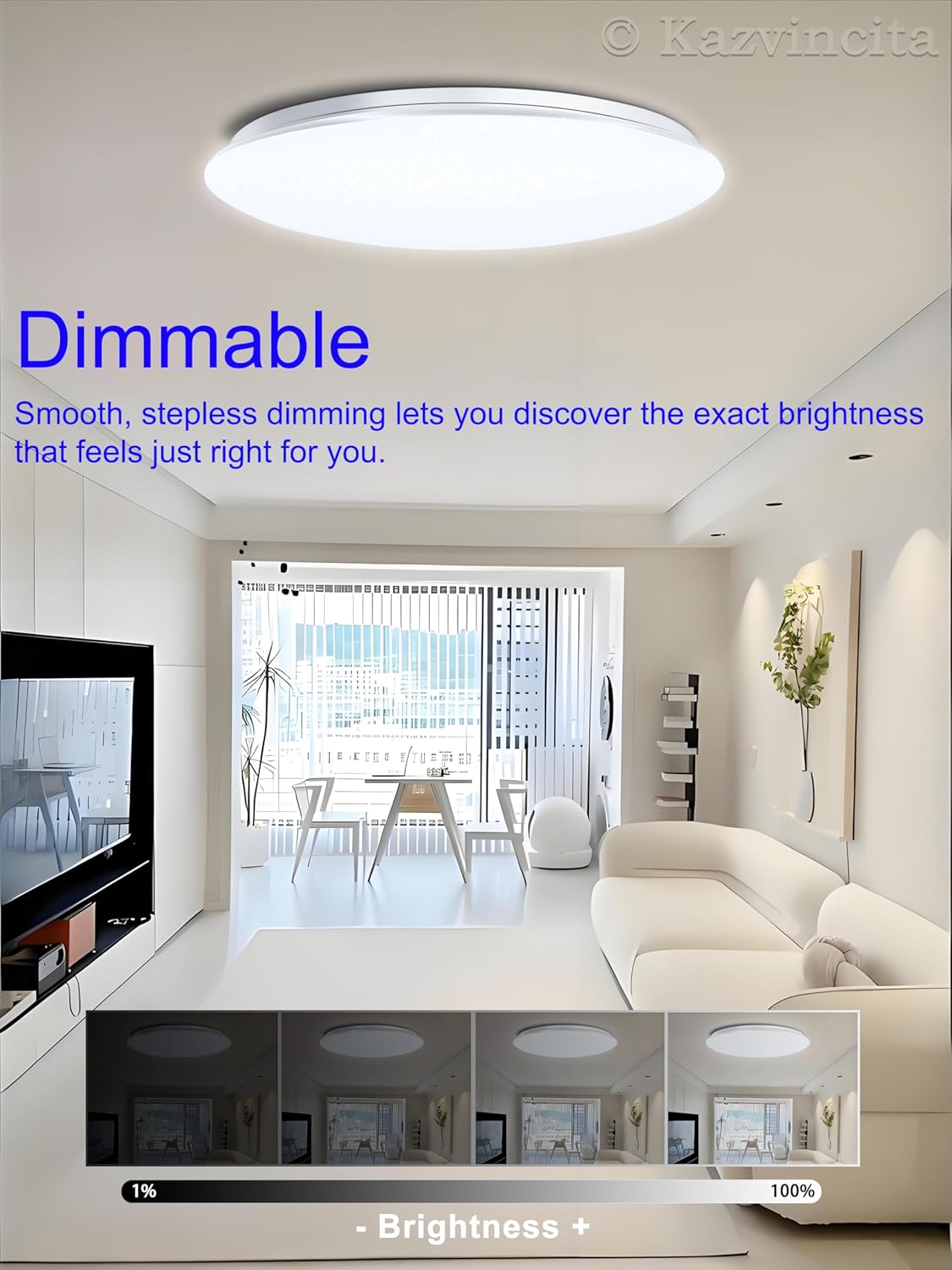 Dimmable Round LED Ceiling Light Flush Mount 13 Inch 40W Built-in Bluetooth Speaker Modern Lighting Fixtures RGB Ambient Ceiling Lamp Suitable for Bedrooms Kitchen Kids' Rooms and More