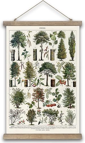 SHOXREM Póster vintage, impresiones artísticas rústicas, estilo retro de colgar en la pared para sala de estar, oficina, aula, dormitorio, sala de