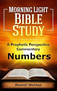 Numbers: A Prophetic Perspective (Prophetic Perspective Commentary Book 4)