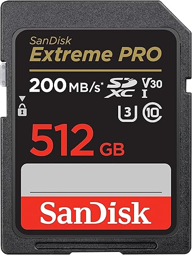 SanDisk Tarjeta de memoria Extreme PRO SDXC UHS-I de 512 GB - C10, U3, V30, 4K UHD, tarjeta SD - SDSDXXD-512G-GN4IN, gris oscuronegro