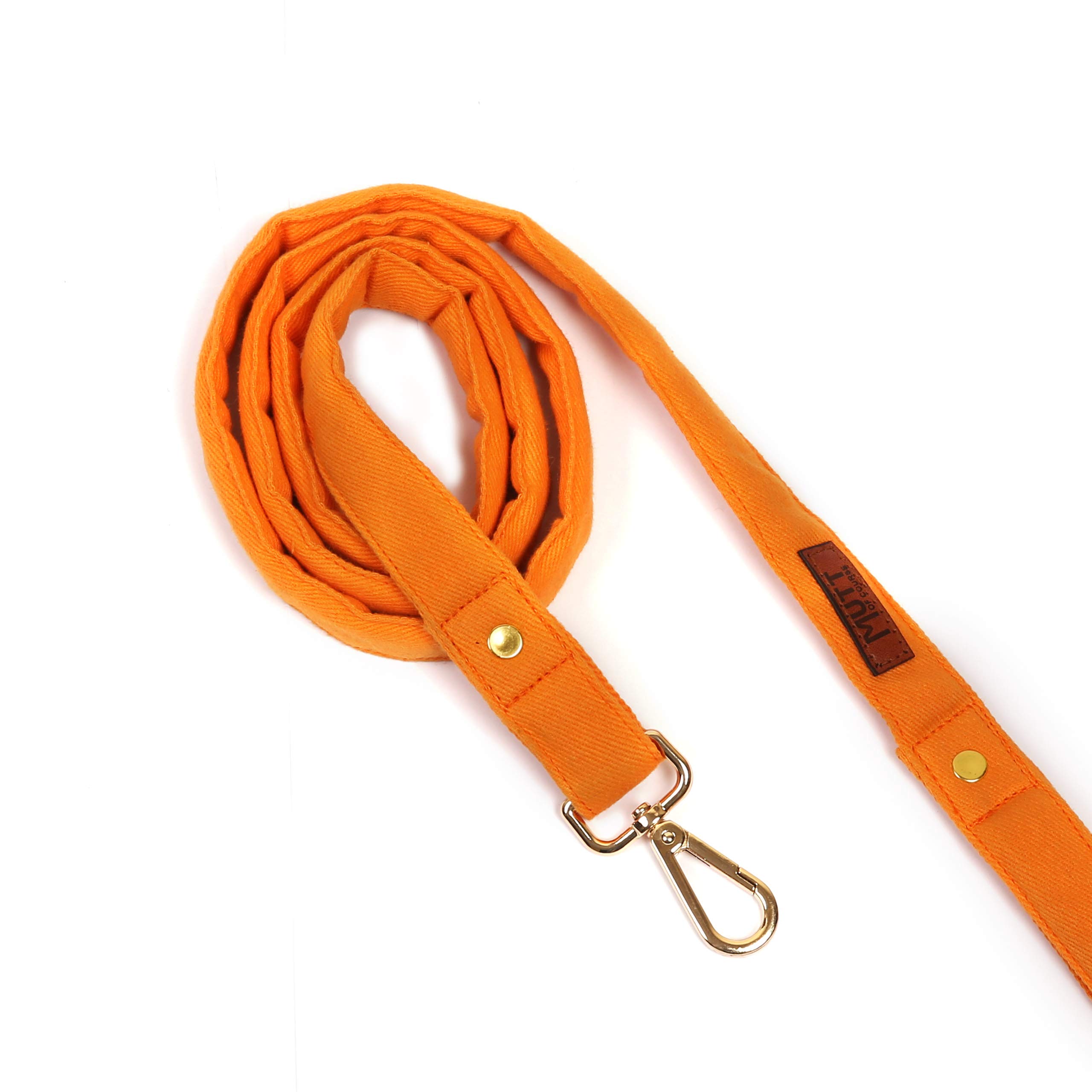 Mutt of Course Gooseberry Water-Resistant Dog Leash (Medium) (B08461B5WK) Amazon Price History, Amazon Price Tracker