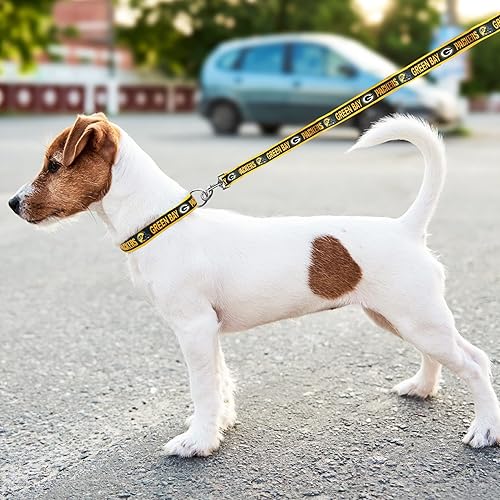 Miniatura 54 de NFL - Collar para perro de Philadelphia Eagles, collar mediano del equipo de fútbol para perros y gatos. Un collar brillante y colorido para gatos