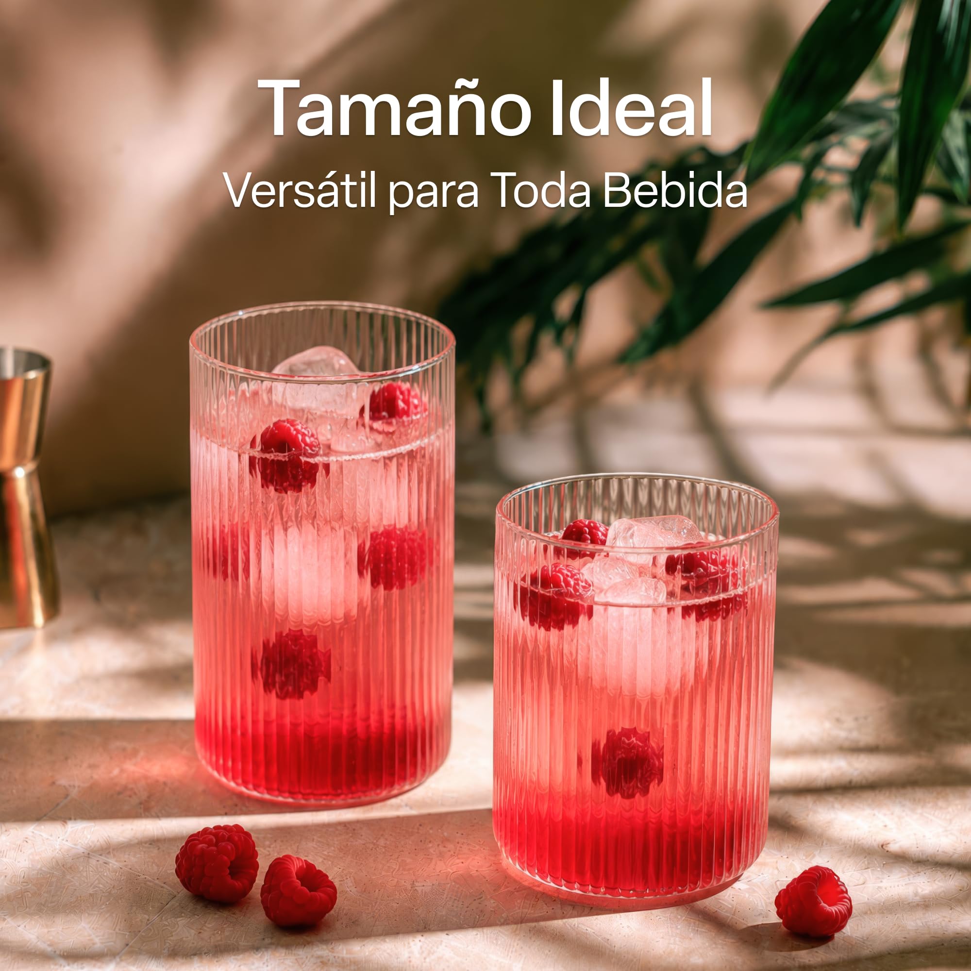 MIAMIO - Set de 12 vasos de agua de vidrio - Senita (280 ml) diario | Vasos de vidrio para agua, zumo, matcha y cócteles, set de 12 para el uso diario en casa - aptos para lavavajillas