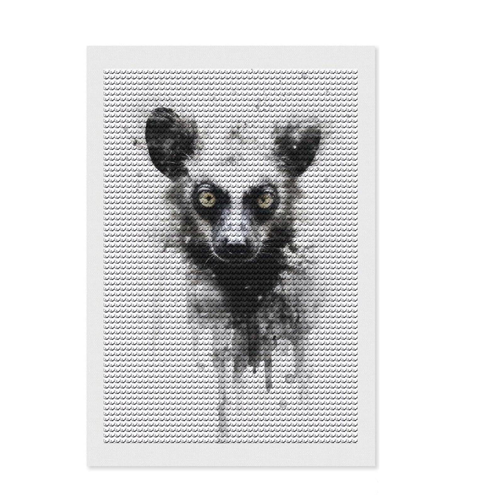 Junmoney Lemur Beauty Black Ink DIY Diamond Art Canvas Kit 8"x12", for Women, Relaxing DIY, Leisure Activity, Home Wall Art, Festive Home Decor
