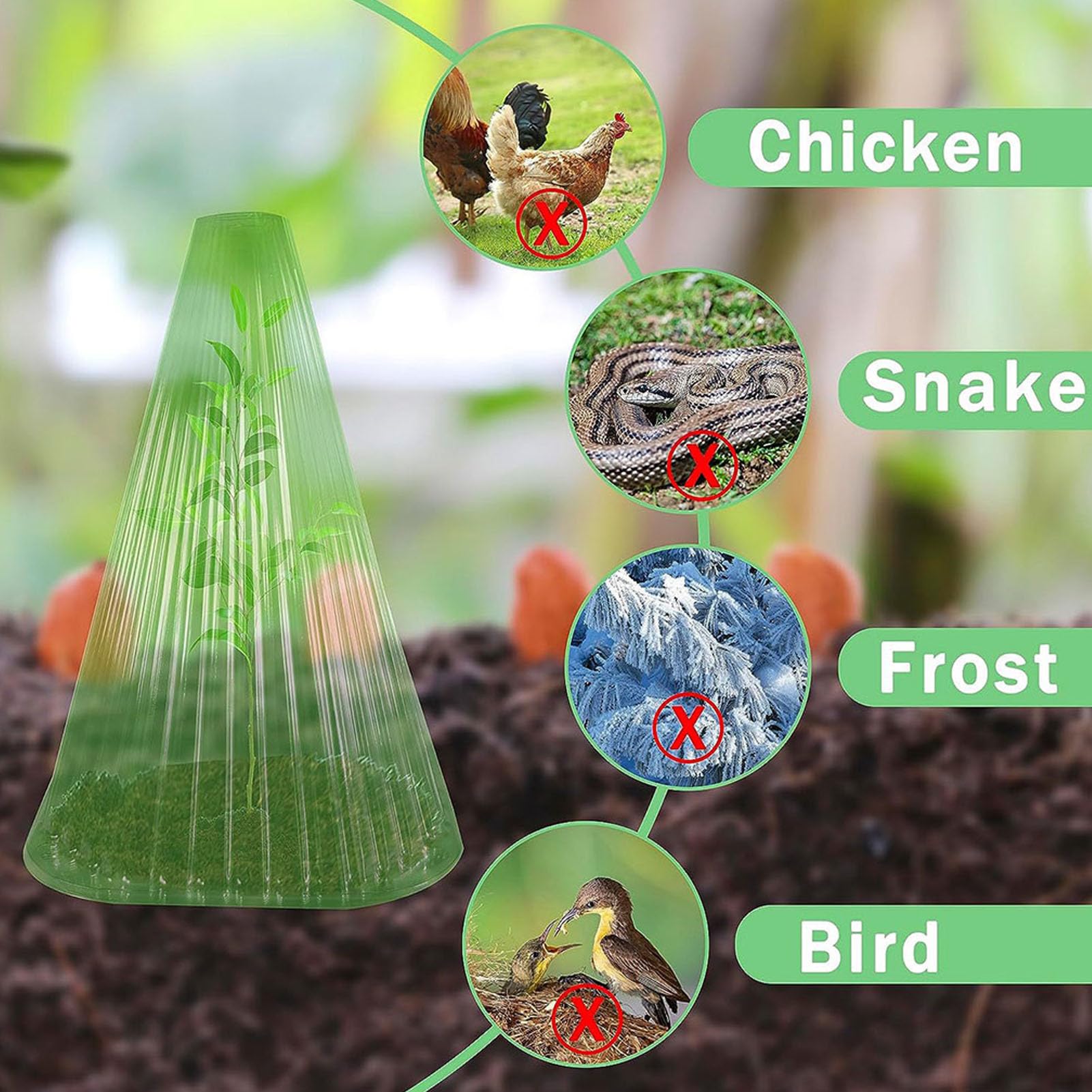 30 pièces dômes Cloches en Plastique réutilisables pour Plantes, couvertures de Plantes en Cloche protégeant des Animaux de Jardin, escargots, Oiseaux, Poulets, Comprend 60