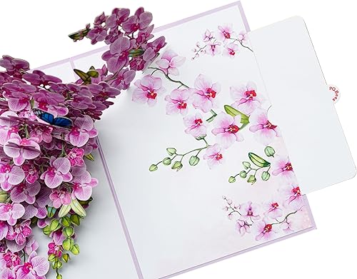 Miniatura 6 de Tarjeta de cumpleaños emergente, tarjeta de cumpleaños 3D desplegable para el día de la madre, aniversario, agradecimiento y agradecimiento (tamaño