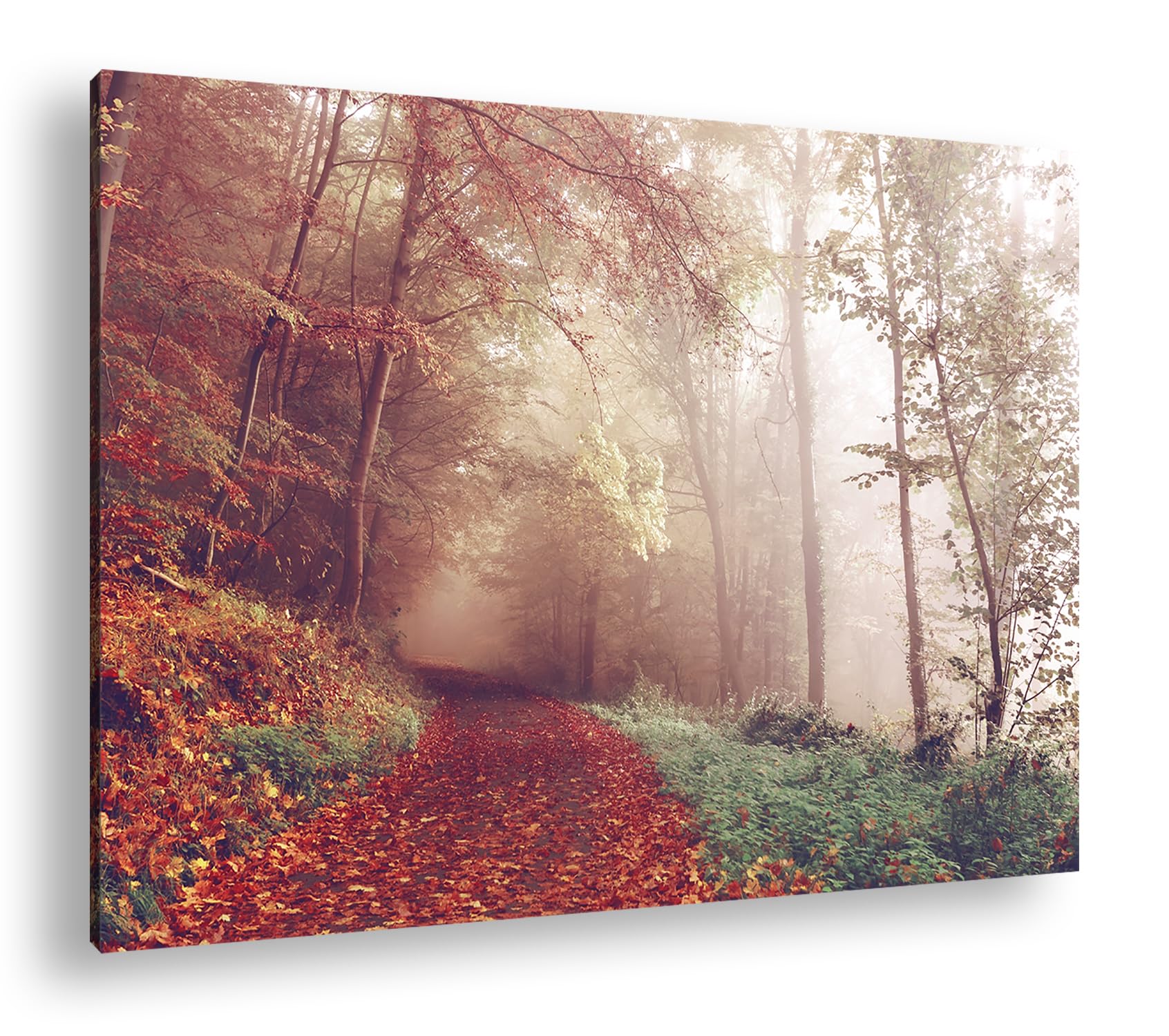 Chemin de forêt brumisé en automne : illuminez vos murs blancs monotones - 8