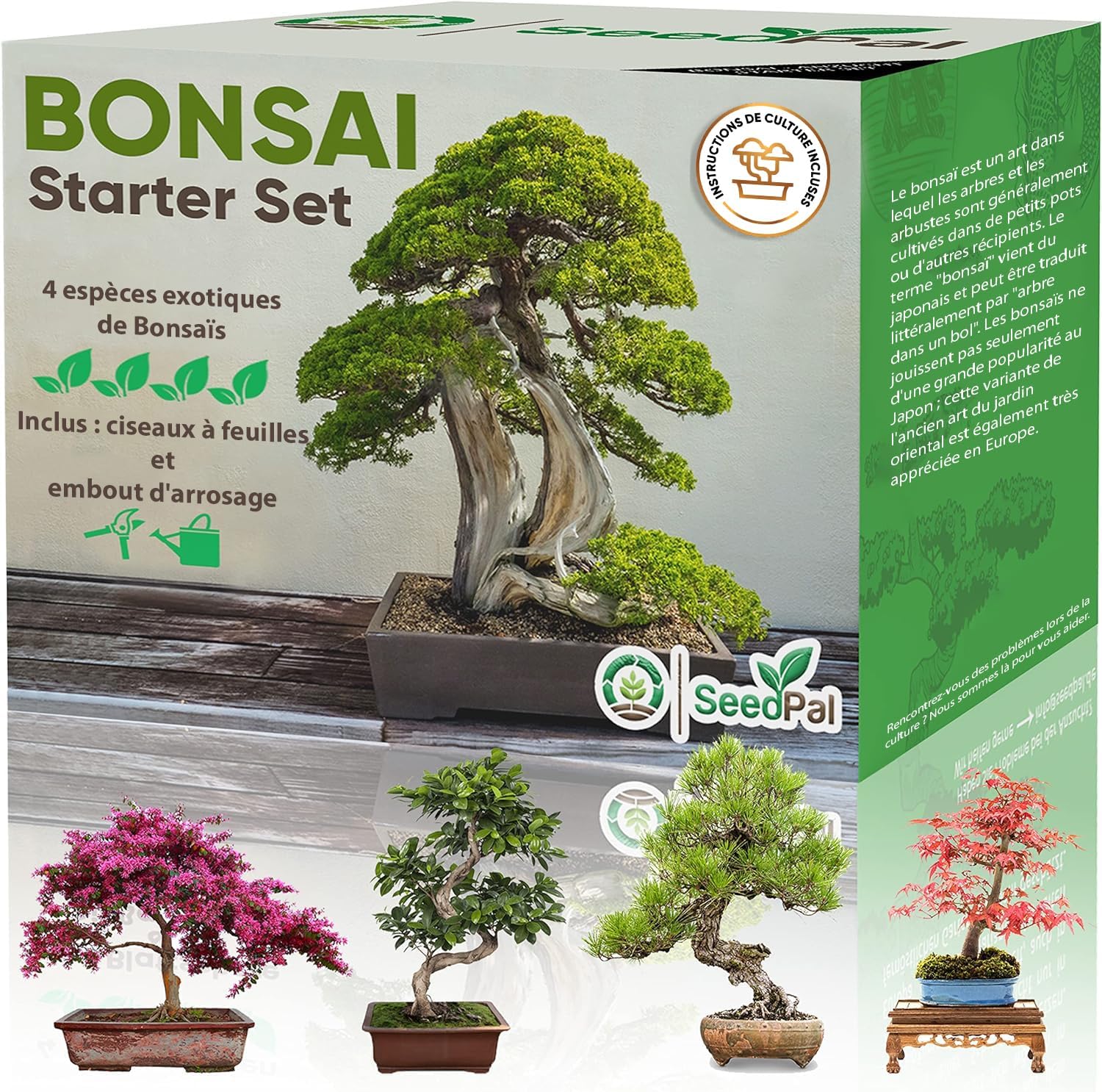 Easy Bonsai Kit Plantes Kit de culture Bonzaï 4 graines différentes