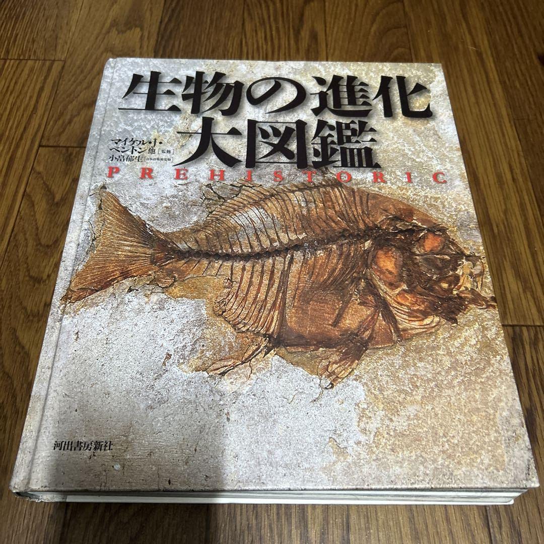 生物の進化大図鑑 Amazon.co.jp: 生物の進化 大図鑑 : マイケル・J・ベントン 他