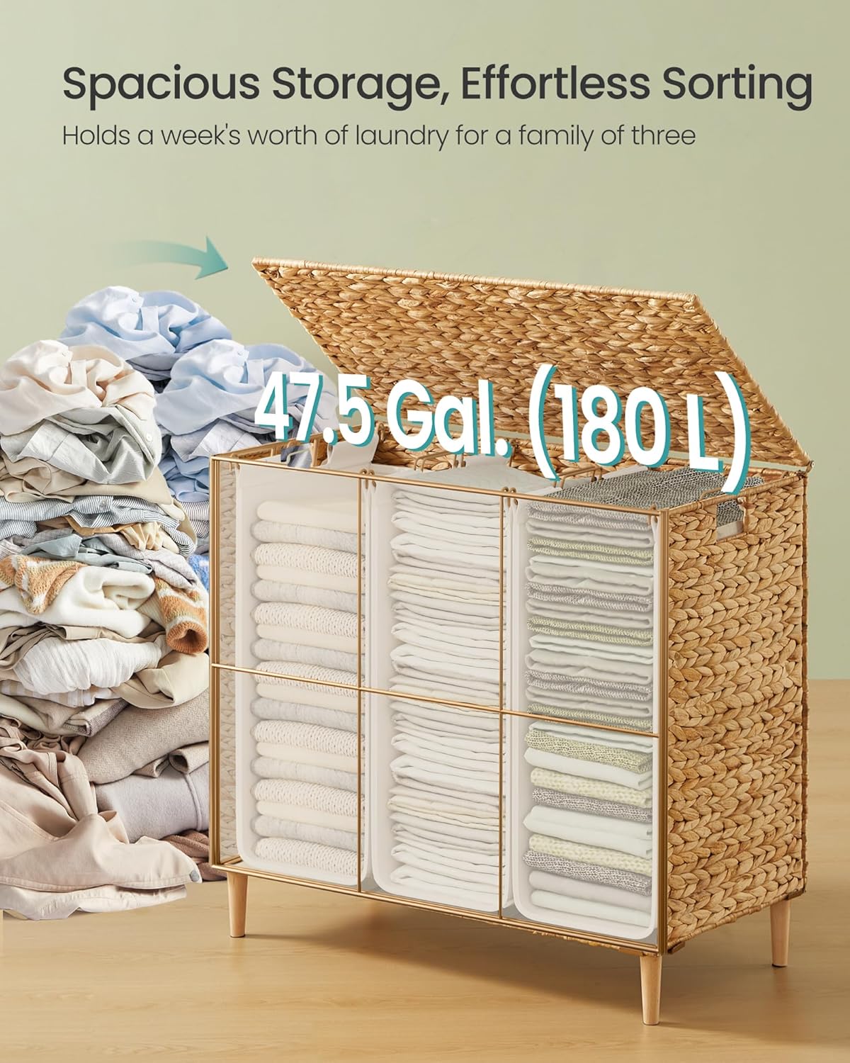 https://m.media-amazon.com/images/I/81Utb1Ky10L._AC_SL1500_.jpg