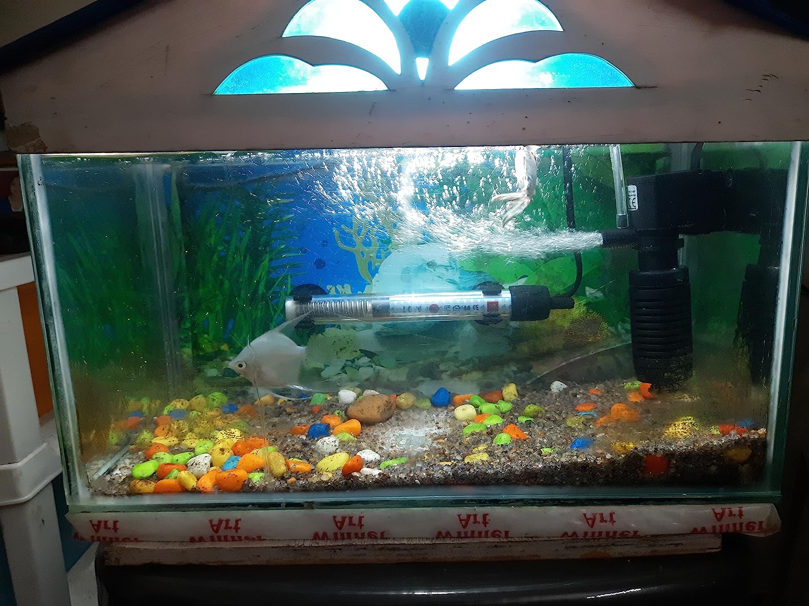 VENUS AQUA® VS210F Aquarium Internal Filter Suitable for Small Mini