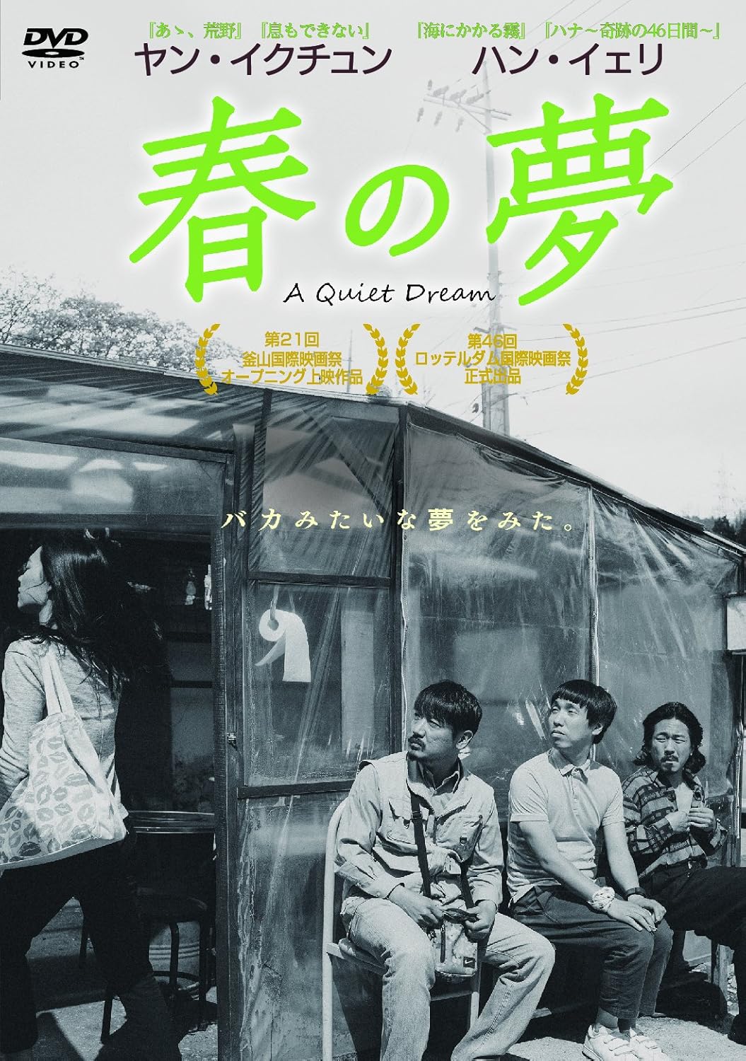 Amazon 春の夢 Dvd 映画