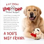 MULTIPET MU48371 International 843140 Lambchop Plush Squeak Toy Mini for Pets, 6-Inch, White