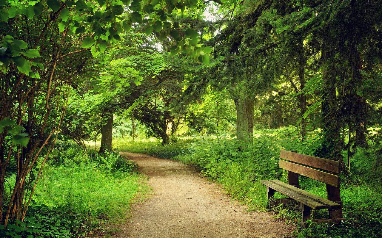 Go Green Tale Nature Sticker PosterTrees and Pathway PosterWall Decor