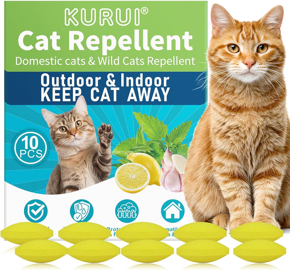 Cat Repellent for Gardens UK, 10Pcs Cat Deterrent, Natural Peppermint Oil Cat Repellent, Cat Scarer for Stray Cats Digging - Keeps Yard Lawn Garden Furniture Insect Repellent (10Pcs)