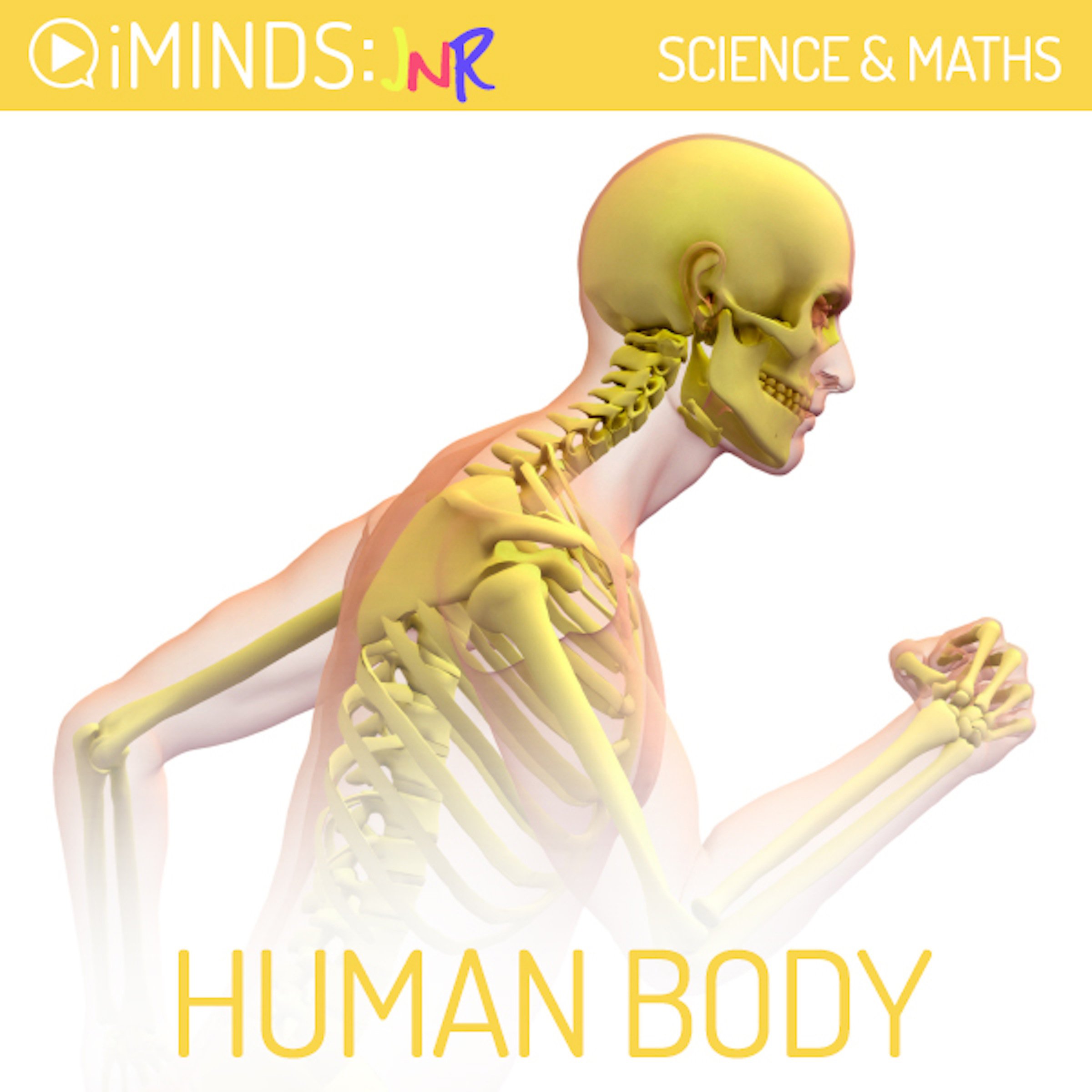 Human Body