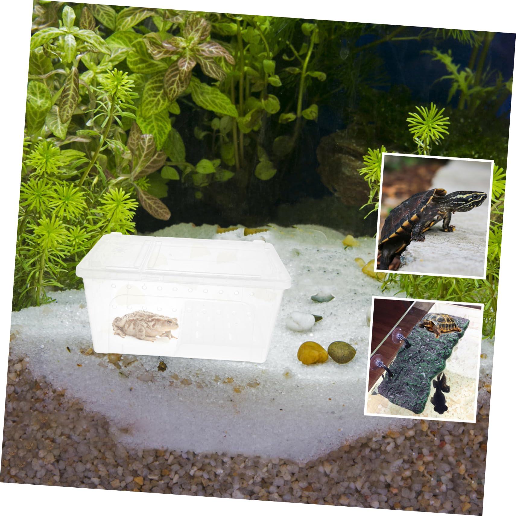 UPKOCH Terrario Area Riposo e Alimentazione in Plastica con Piattaforma Pendenza Adatta, per Osservazione Facile per Rettili e Esercizio della Tartaruga