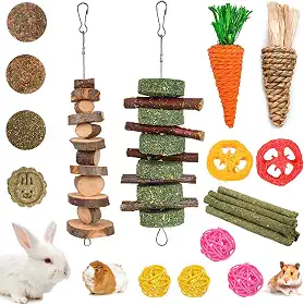 Grddaef Brinquedos de mastigação de coelho para dentes, brinquedos naturais de coelho, maçã, grama, timothy, mastigar e tratar para porquinhos-da-índia hamster chinchilas (20 peças)