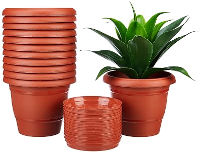 Amazon Brand - Solimo Round Pots for Plants with Bottom Tray|Lightweight|Indoor and Outdoor Flower Pot for Home/Office/T