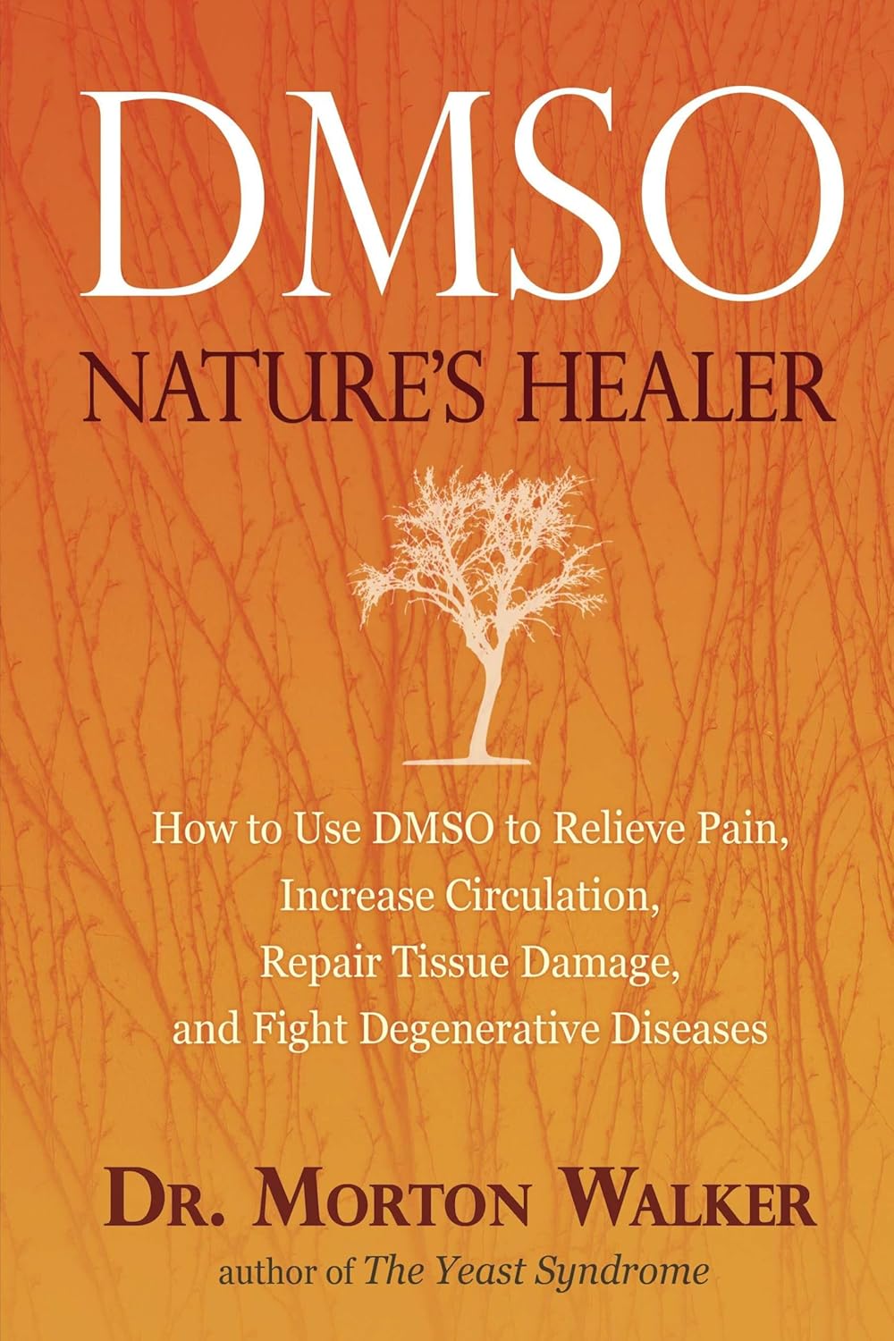 DMSO Book
