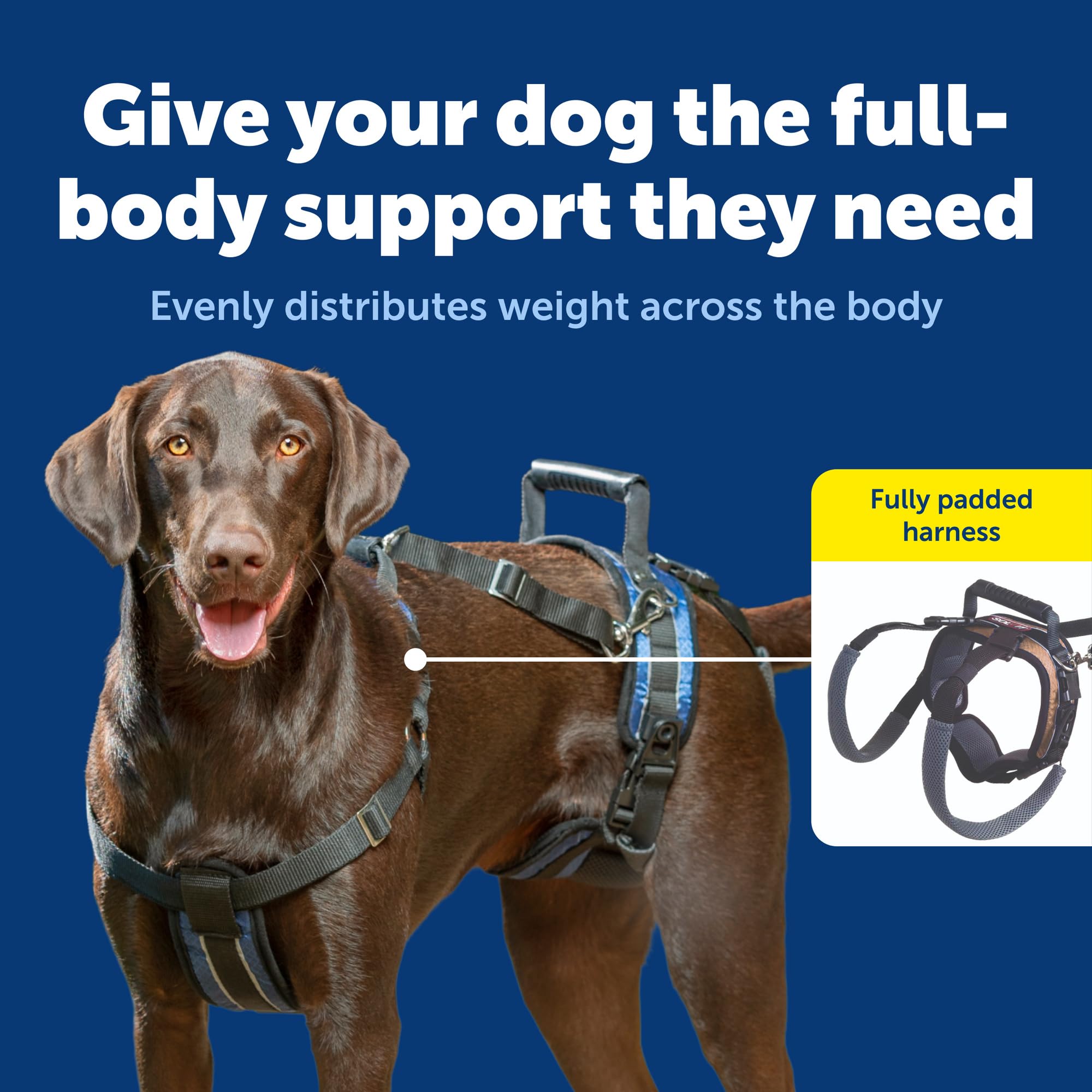 PetSafe CareLift - Arnés de Apoyo para Levantar el Cuerpo Completo con asa y Correa para el Hombro, Ideal para la Movilidad de Mascotas y Perros Mayores, Material cómodo y Transpirable, fácil de