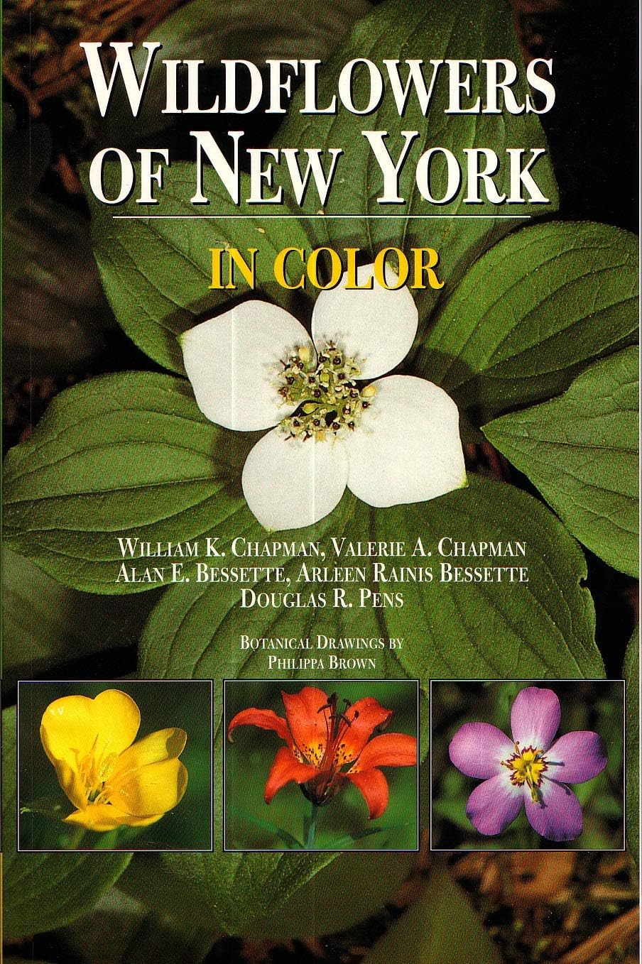 Wildflowers of New York in Color Paperback – November 1, 1998