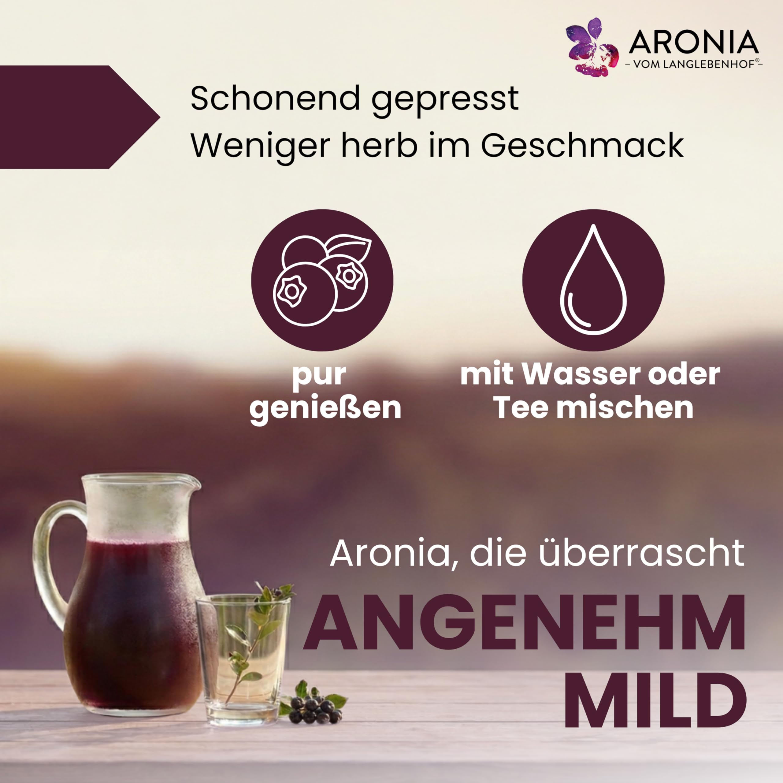 anglebenhof Aronia Direktsaft, Muttersaft, [100% Demeter und Bio] 3 Liter Box, Der Milde" Aroniasaft für Ernährungsbewusste, Aroniasaft aus Deutschland, Aronia Beeren Saft-sehr lange haltbar (2 x 3 L)