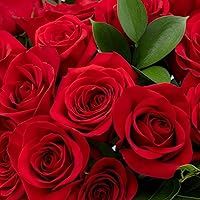 Vista 4 de 24 rosas rojas de tallo largo