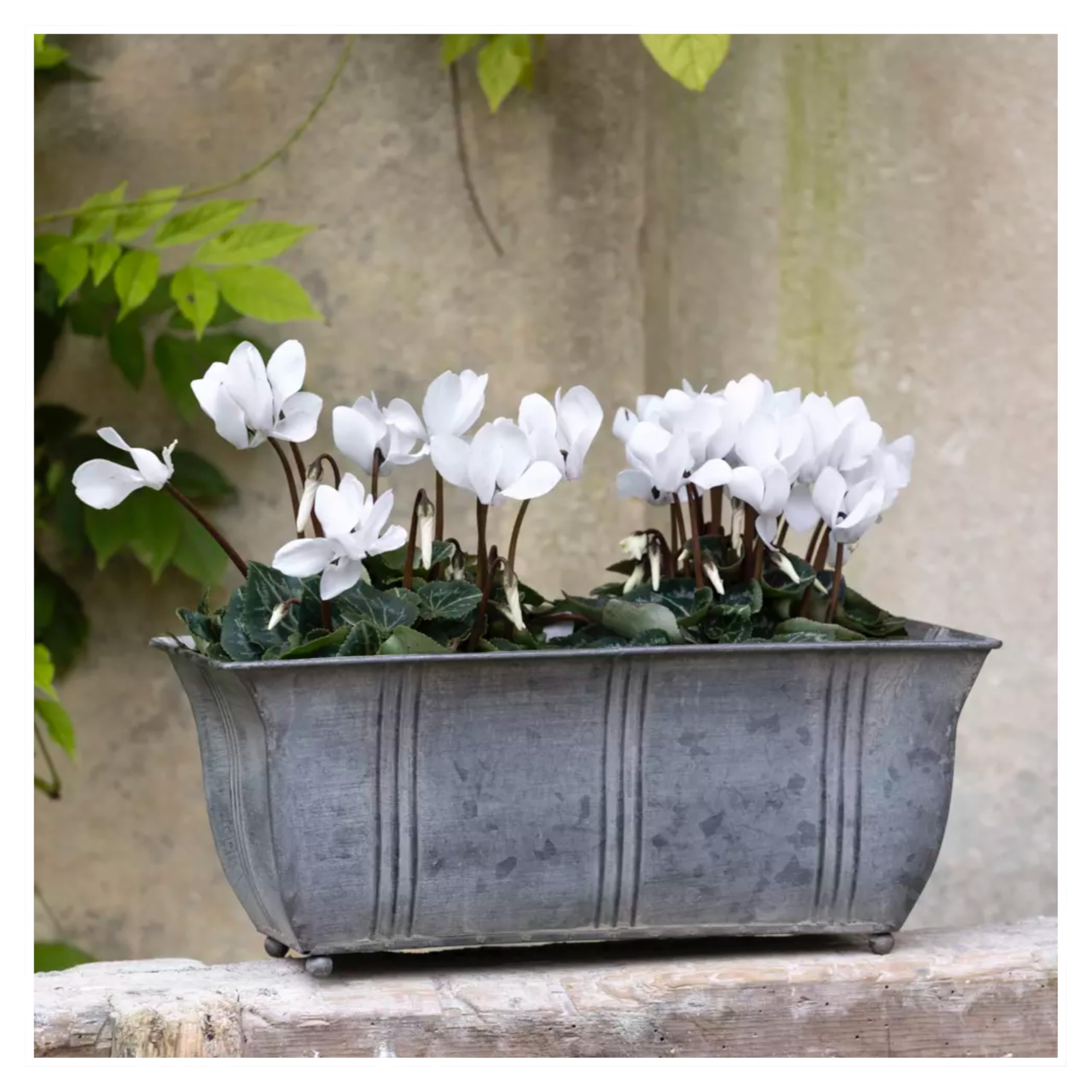 Wholesome Home Grey Galvanised Trough Planter, Rectangular Outdoor Plant Pot, Window Box Planters, Metal (Small (31.5Cm))